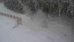 Přístup na běžeckou trať