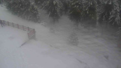 Přístup na běžeckou trať