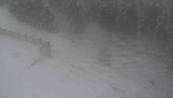 Přístup na běžeckou trať