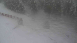 Přístup na běžeckou trať