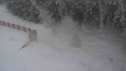 Přístup na běžeckou trať