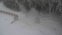 Přístup na běžeckou trať