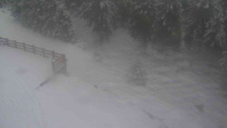 Přístup na běžeckou trať