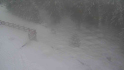 Přístup na běžeckou trať