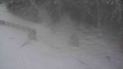 Přístup na běžeckou trať