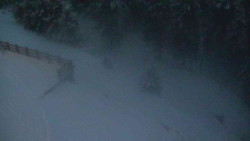 Přístup na běžeckou trať