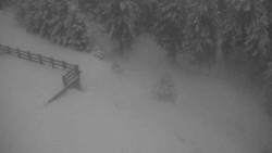 Přístup na běžeckou trať