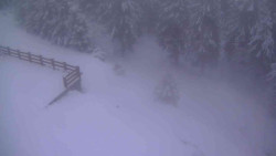 Přístup na běžeckou trať