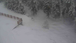 Přístup na běžeckou trať