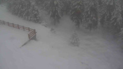 Přístup na běžeckou trať