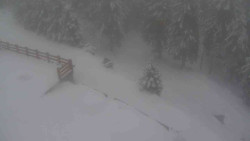 Přístup na běžeckou trať