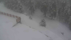 Přístup na běžeckou trať