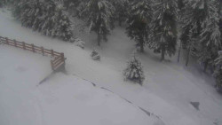 Přístup na běžeckou trať