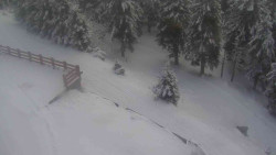 Přístup na běžeckou trať