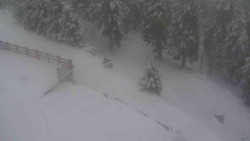 Přístup na běžeckou trať