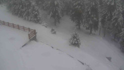 Přístup na běžeckou trať