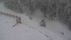 Přístup na běžeckou trať