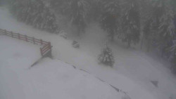 Přístup na běžeckou trať