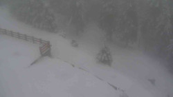 Přístup na běžeckou trať