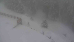 Přístup na běžeckou trať