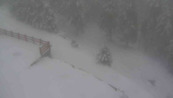 Přístup na běžeckou trať