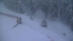 Přístup na běžeckou trať