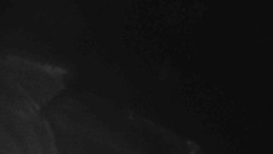 Přístup na běžeckou trať