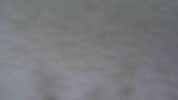 Přístup na běžeckou trať