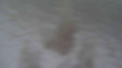 Přístup na běžeckou trať