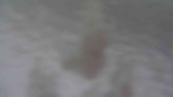 Přístup na běžeckou trať