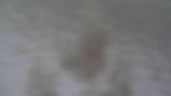 Přístup na běžeckou trať