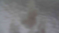 Přístup na běžeckou trať