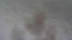 Přístup na běžeckou trať