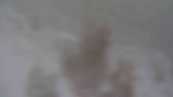 Přístup na běžeckou trať