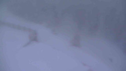 Přístup na běžeckou trať