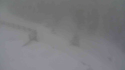 Přístup na běžeckou trať