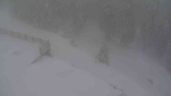 Přístup na běžeckou trať