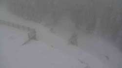 Přístup na běžeckou trať