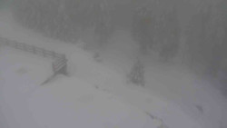 Přístup na běžeckou trať