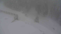 Přístup na běžeckou trať