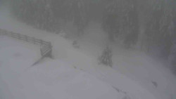 Přístup na běžeckou trať