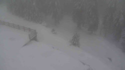 Přístup na běžeckou trať