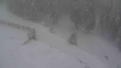 Přístup na běžeckou trať