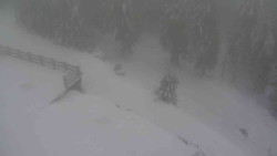 Přístup na běžeckou trať