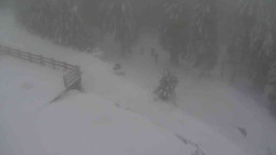 Přístup na běžeckou trať