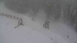 Přístup na běžeckou trať