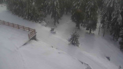 Přístup na běžeckou trať