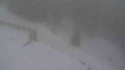 Přístup na běžeckou trať