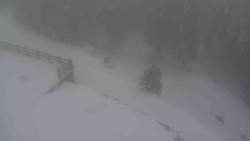 Přístup na běžeckou trať