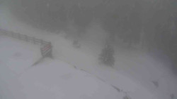 Přístup na běžeckou trať